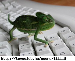 Ez �!