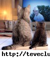Ez �!