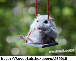 Ez �!