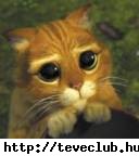 Ez �!           
